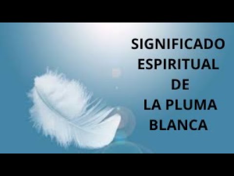 Descubre el significado de encontrar una pluma blanca: señales de buena fortuna y mensajes espirituales