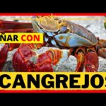 Soñar con cangrejos vivos: significado e interpretación