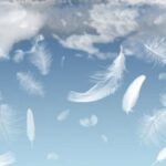 ¿Qué significa ver una pluma blanca volando?