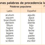 palabras-del-latin-que-se-usan-en-el-espanol